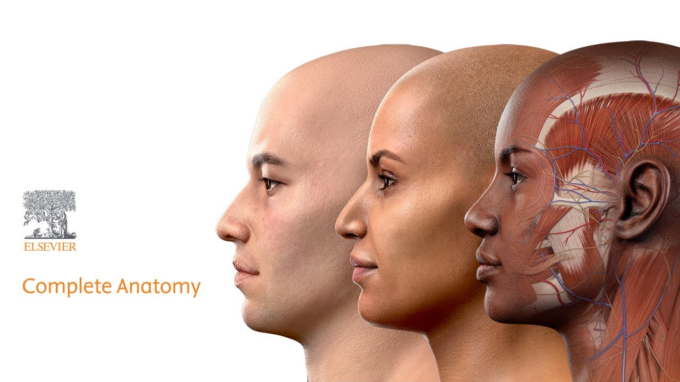 complete anatomy