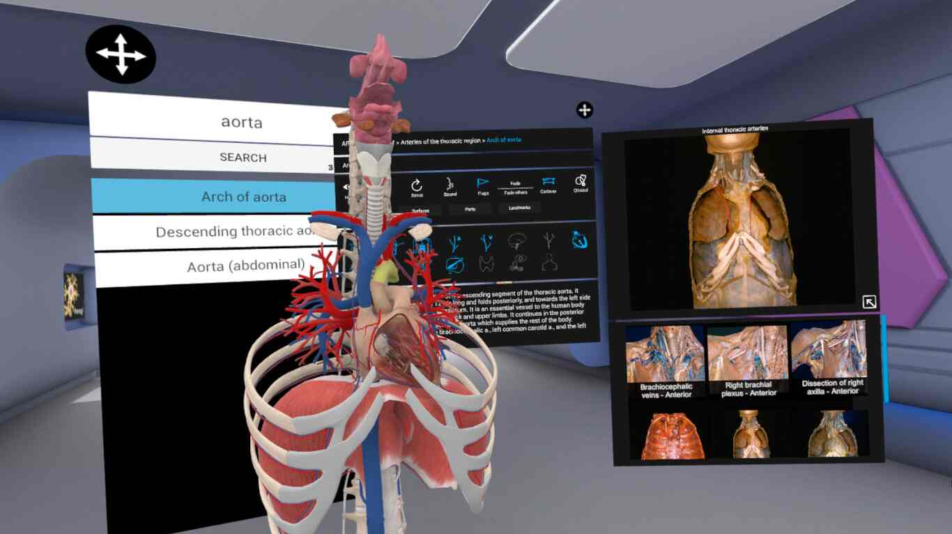 3D ORGANON VR ANATOMY - RealiTec UDD